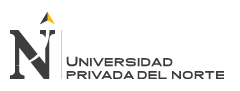 Universidad Privada del Norte (UPN).